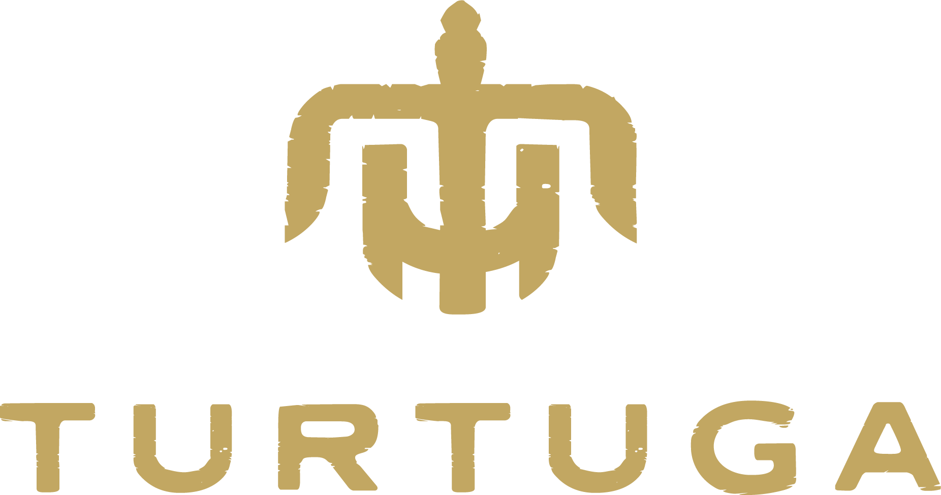logo-light
